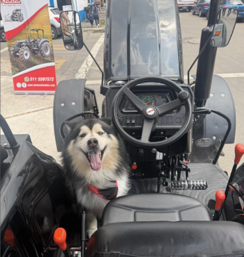 Captura de pantalla 2025-10-07 114711